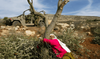 رشيد خضيري: “يسرقون الأرض والماء بالقوّة” – ناشط من الضفة الغربية يروي نضال الفلسطينيين للبقاء في أرضهم